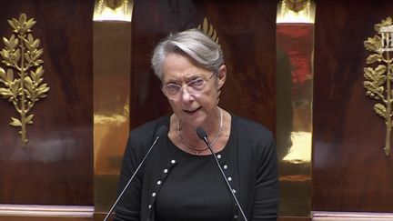 Politique : Élisabeth Borne dégaine le 49.3 pour faire adopter le budget 2023