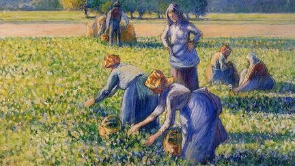 "La cueillette des pois" est une gouache du peintre impressionniste Camille Pissarro réalisée en 1887
 (Wikimedia Commons )