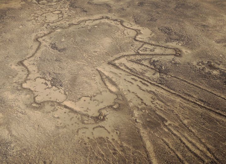 Un "cerf-volant du désert", structure servant à la chasse, à Harrat-al-Shaam, à l'est d'Al-Kafr, en Jordanie (HO / E. REGAGNON / CNRS / AFP)