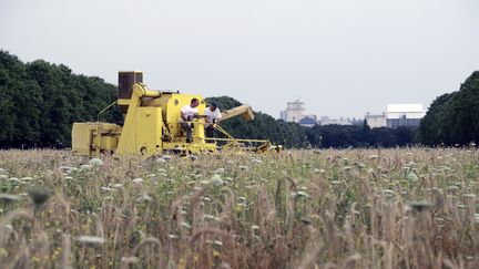 Agriculteurs : entre l'abstention et le vote en faveur du Front national