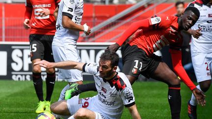 Le Guingampais&nbsp;Christophe Kerbrat&nbsp;face au Rennais&nbsp;M'baye Niang, le 12 mai 2019, dans le cadre de la 36e journée de Ligue 1. (DAMIEN MEYER / AFP)