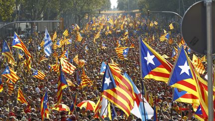 Des manifestants catalans dans les rues de Barcelone (Espagne), le 11 septembre 2014. (QUIQUE GARCIA / AFP)