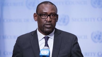 Le ministre des Affaires étrangères du Mali, Abdoulaye Diop, le 5 avril 2016 au siège de l'ONU à New York (Etats-Unis). (SIPANY / SIPA)