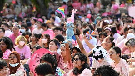 Le rassemblement annuel "Pink Dot" (Point rose) en soutien aux personnes LGBT+ à Singapour, le 18 juin 2022 (ROSLAN RAHMAN / AFP)