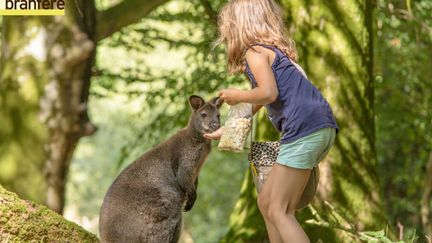 Enfant de&nbsp;l’école&nbsp;Nicolas&nbsp;Hulot dans le parc animalier et botanique à&nbsp;Branféré dans le&nbsp;Morbihan. (Fondation Nicolas Hulot)