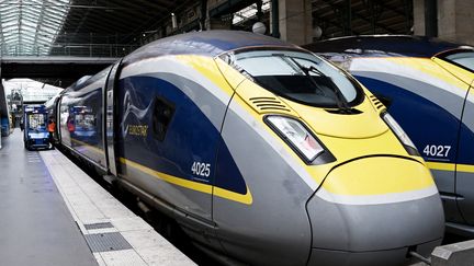 Des trains Eurostar stationnent à la gare du Nord, à Paris, le 3 août 2023. (STEFANO RELLANDINI / AFP)