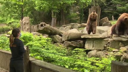 Hautes-Pyrénées : la vie confinée des animaux du zoo d’Argelès-Gazost