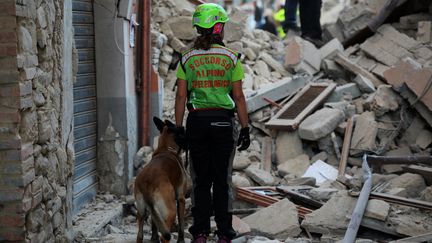 Des sauveteurs recherchent des victimes dans les d&eacute;combres des maisons, &agrave; Amatrice&nbsp;(Italie), le 24 ao&ucirc;t 2016. (FILIPPO MONTEFORTE / AFP)