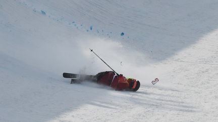 Le Français Kevin Rolland est tombé aux JO de Pyeongchang jeudi 22 février. (ANGELIKA WARMUTH / DPA)