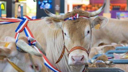 Salon de l'agriculture : le business de l'excellence