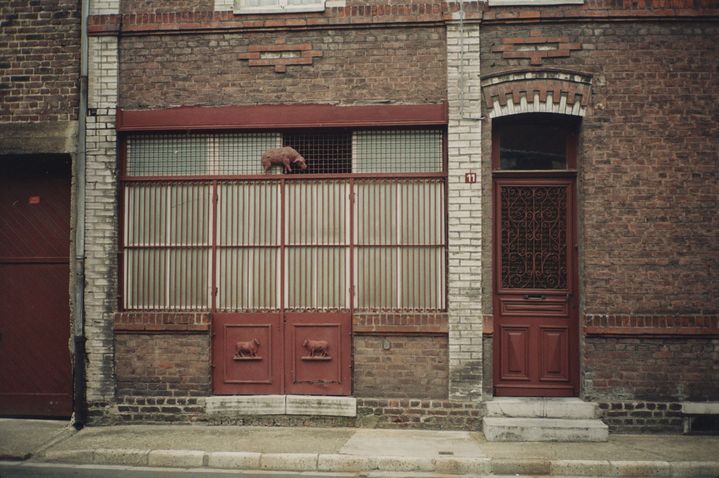 Aris Georgiou (né en 1951, Grèce), "Douchy-les-Mines", 10 septembre 1996 (CRP)