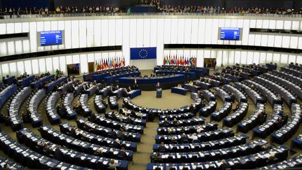 L'hémicycle du Parlement européen de Strasbourg (Bas-Rhin). 17 avril 2019. (NOÉMIE BONNIN / RADIO FRANCE)