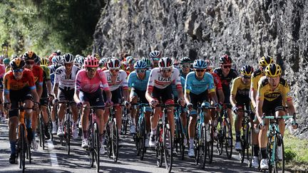 Le peloton roule lors de la 4ème étape de la 107ème édition du Tour de France, entre Sisteron et Orcières-Merlette, le 1er septembre 2020. (KENZO TRIBOUILLARD/AFP)