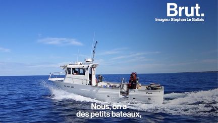 Pendant ce temps-là en Corse, Brut a suivi Sébastien, l'un des quatre derniers pêcheurs du port de Bastia...