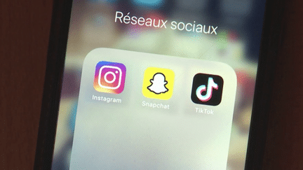 Après les États-Unis, le Royaume-Uni ou encore le Parlement et la Commission européenne, le gouvernement français place à son tour l'utilisation de TikTok dans son collimateur à cause de risques en cybersécurité pour les fonctionnaires d'État. Mais ce réseau social n'est pas le seul à être ciblé. (FRANCEINFO)