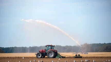 20 heures la suite : Agriculteur, la cagnotte qui a tout changé