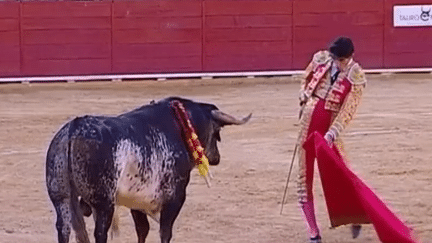 Corrida : un torero meurt dans l'arène