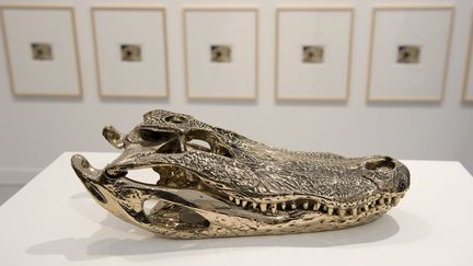 &nbsp; (Crâne d'alligator, de l'artiste américaine Sherrie Levine exposée à la FIAC©MAXPPP)