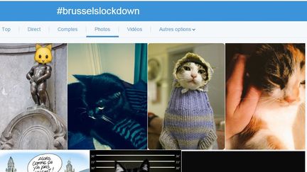 Vue générale des photos postées sur Twitter avec le hashtag #BrusselsLockDown, dimanche 22 novembre 2015. (TWITTER)