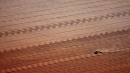 Une exploitation de soja au Brésil, le 9 décembre 2008. (RODRIGO BALEIA / AFP)