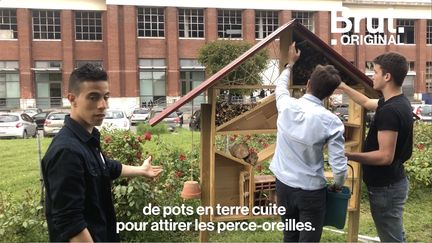 Les élèves de l'université Paris 13 ont métamorphosé leur campus en y installant des structures éco-responsables. L'établissement a encouragé cette démarche.