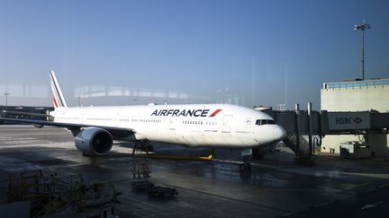 Un avion d'Air France&nbsp;sur le tarmac de l'aéroport Roissy-Charles de Gaulle, le 20 janvier 2017. (BERTRAND GUAY / AFP)