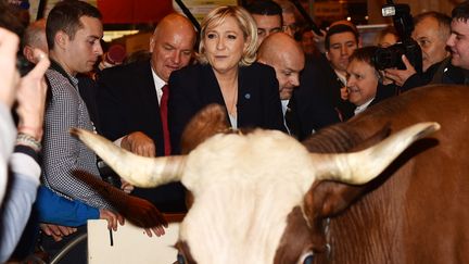 Marine Le Pen a visité le salon de l'Agriculture mardi 28 février&nbsp; (MUSTAFA YALCIN / ANADOLU AGENCY)