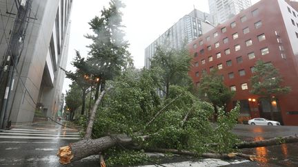 Un arbre ets allongé dans une des rues principales d'Osaka (Japon), le 4 septembre 2018. (JIJI PRESS / AFP)