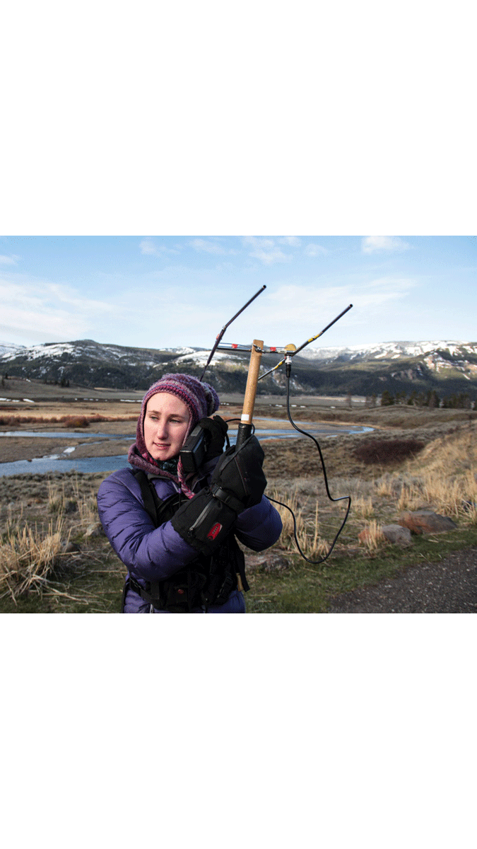 &nbsp; (Liizzy Cato, biologiste au parc, utilise sa radio pour suivre les loups équipés de balises. © Géo)