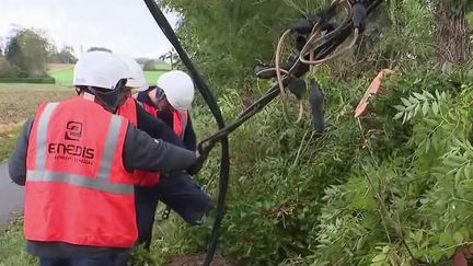 Tempête Aurore : 7 000 foyers toujours privés d'électricité en Normandie. (FRANCE 2)