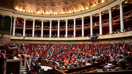 Les députés dans l'hémicycle de l'Assemblée nationale, à Paris, le 21 janvier 2020. (BERTRAND GUAY / AFP)