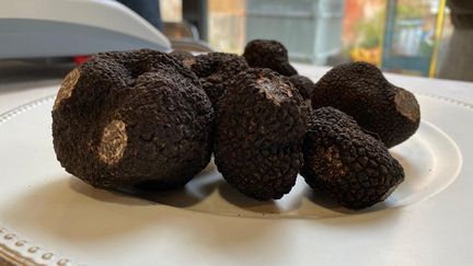 Marché aux truffes de Saint-Alvère en Dordogne, avec la fameuse "tuber melanosporum". (CHARLOTTE JOUSSERAND / RADIO FRANCE)