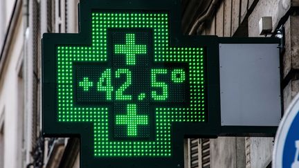 42,5°C relevés à Paris, le 25 juillet 2019. Photo d'illustration. (BERTRAND GUAY / AFP)