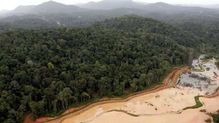 Vue aérienne de la forêt guyanaise, en avril 2006 (JODY AMIET / AFP)