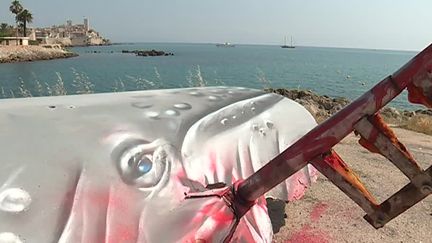 Un voilier transformé en baleine à Antibes, du street art à Antibes 
 (France Télévisions/culturebox )