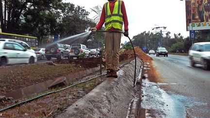 Un jardinier arrose une nouvelle pelouse plant&eacute;e dans les rues de Nairobi pour l'arriv&eacute;e de Barack Obama.&nbsp;La capitale connait un vrai lifting depuis un mois. (TONY KARUMBA / AFP)