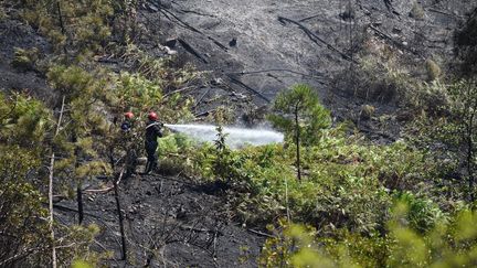 Des pompiers luttent contre un incendie près de Bessèges, dans le parc national des Cévennes, le 8 juillet 2022. (SYLVAIN THOMAS / AFP)