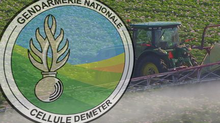 La cellule Demeter de la gendarmerie nationale a été créée en 2019. (RADIO FRANCE)