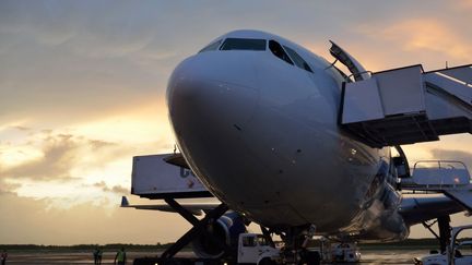 Un avion de la LIAT sur le tarmac &agrave; Saint-Domingue (R&eacute;publique dominicaine). (SAMI SARKIS / GETTY IMAGES)