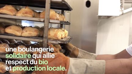 Pain et Partage, un réseau de boulangeries solidaires implanté à Marseille, a un objectif : lutter contre la précarité alimentaire. Chaque jour, grâce à elles, 13 000 démunis reçoivent du pain bio…