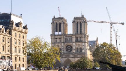 Vue de la cathédrale Notre-Dame de Paris le 24 octobre 2024. (THOMAS HUBERT/SIPA / SIPA)