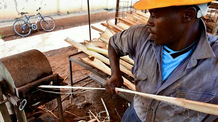 Divisés en deux avec des machettes, les tiges de bananiers sont d’abord séchées au soleil puis introduites dans une machine d’extraction d’où sortent alors de longues et coriaces fibres.&nbsp; &nbsp;&nbsp; (REUTERS / ABUBAKER LUBOWA)