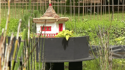 Le Parc de Wesserling à l'heure japonaise pour le festival des Jardins Métissés
 (France 3/ Culturebox)