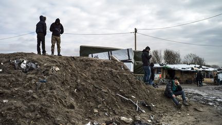 Des migrants dans la "jungle" de Calais, le 23 février 2016. (MAXPPP)