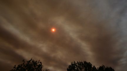 Les incendies sont responsables de l'équivalent de 15% des émissions de gaz à effet de serre annuelle des humains. (PABLO PORCIUNCULA / AFP)