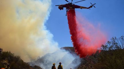 Le feu, qui a pris le 22 juillet 2016 aux marges de l'Angeles National Forest, dans une région de collines et de canyons, menace depuis des maisons isolées près de Santa Clara, à une soixantaine de kilomètres au nord de Los Angeles. Autour de Sand Canyon et de Placerita Canyon, les collines boisées étaient dorénavant noircies et fumantes, tandis que d'autres étaient encore la proie des flammes. Quelque 3.000 pompiers étaient à pied d'oeuvre arpentant par bataillons les coteaux pour combattre le feu, secondés par un ballet d'hélicoptères déversant de la poudre rouge ignifuge. Un gigantesque nuage de fumée sombre s'étendait à des kilomètres, piquant les yeux et la gorge. Début juin, un vaste feu s'était aussi déclaré dans l'opulente banlieue de Calabasas, où vivent nombre de célébrités. Dans l'ensemble des Etats-Unis, 19 vastes incendies non maîtrisés continuaient à faire rage, dont quatre en Californie.  (Frederic J. BROWN / AFP)