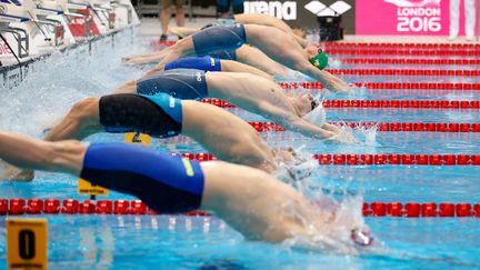 &nbsp; (Les championnats d'Europe de natation ont commencé lundi à Londres © Reuters)