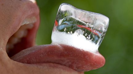 Herten (Allemagne), 38 &deg;C, le 19 ao&ucirc;t 2012. (MARTIN MEISSNER / AP / SIPA)