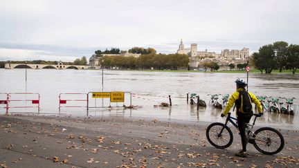 Le Rh&ocirc;ne est sorti de son lit, pr&egrave;s d'Avignon (Vaucluse), le 5 novembre 2014. (MAXPPP)