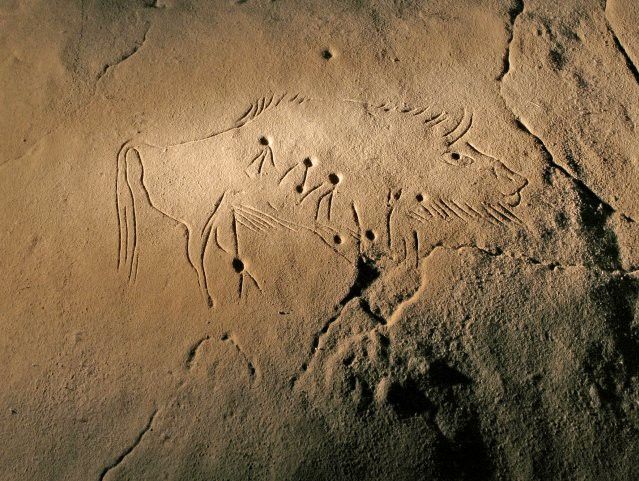 Bison aux Cupules
 (Grotte de Niaux)